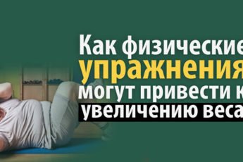 Условия для кактуса: как заставить растение цвести